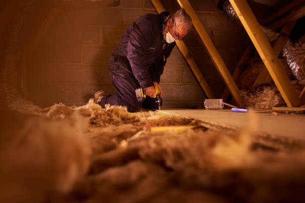 Best Types of Insulation in Sultana, CA